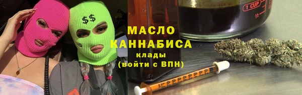 твердый Инта