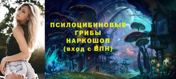 трава Саяногорск