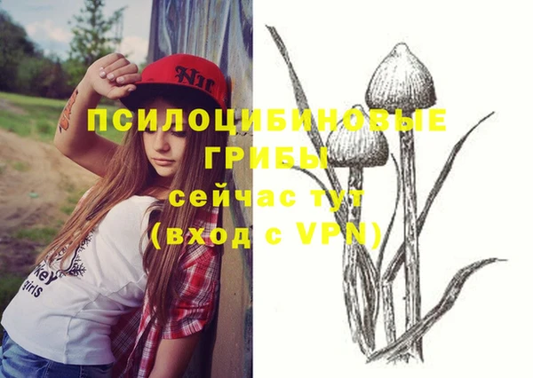 ECSTASY Сафоново