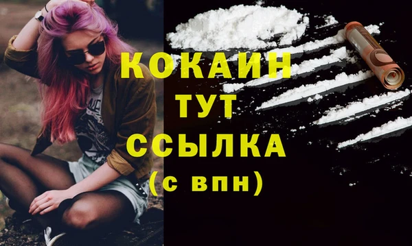 амф Калининец