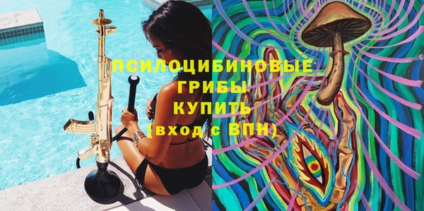 трава Саяногорск
