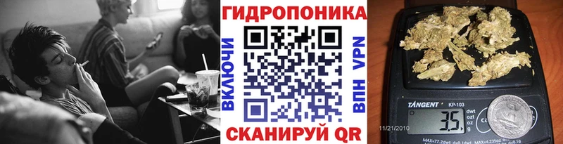 Бошки марихуана семена  ссылка на мегу как зайти  Ак-Довурак 